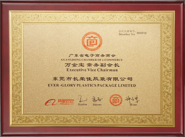 广东电子商务常务副会长单位